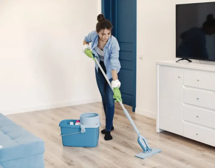 Femme de ménage Fillinges